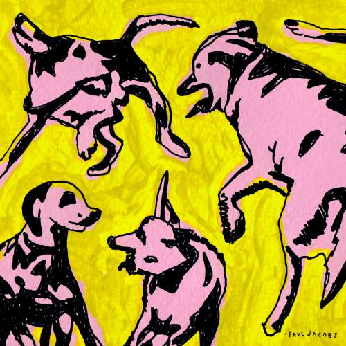 Pochette de l'album Pink Dogs on the Green Grass